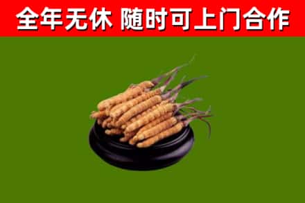衢州市烟酒回收冬虫夏草.jpg